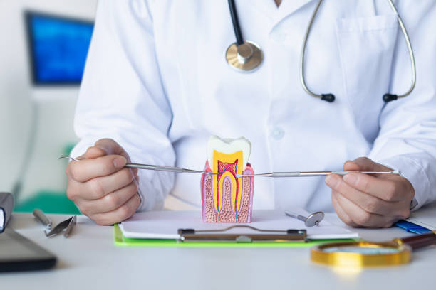Best Urgent Care for Lost Fillings or Crowns in Lahoma City, OK